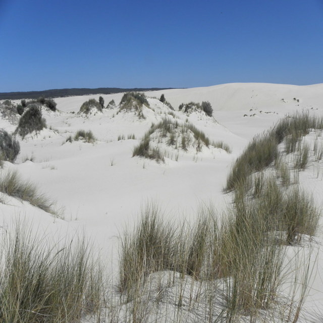 Pemberton - Dune