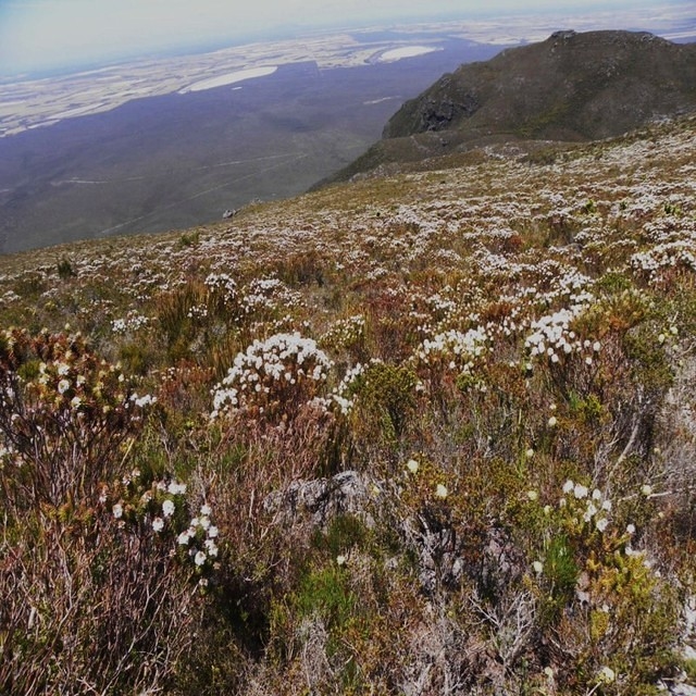 Stirling Range N.P.