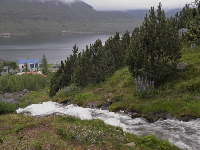 Seydifjordur