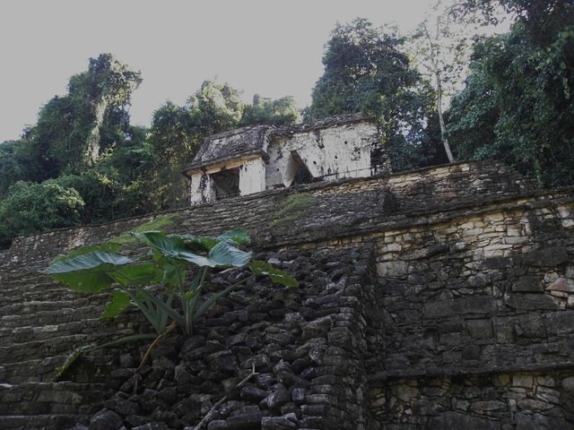 Palenque