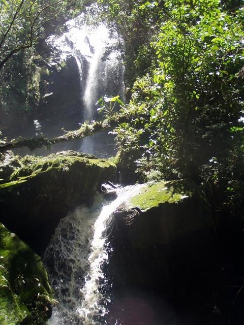 Moyobamba