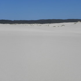 Pemberton - Dune