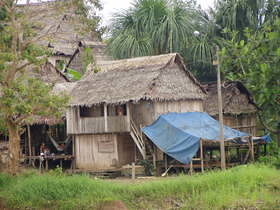 Da Iquitos a Pacaya Samiria