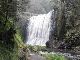 Tasmania - Guide Falls