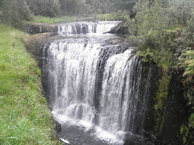 Tasmania -Guide Falls